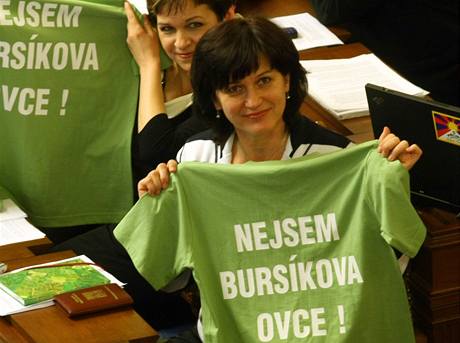 Olga Zubová v poslanecké sněmovně