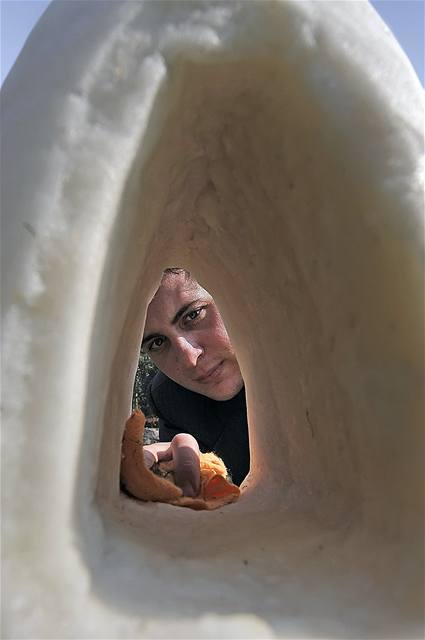 P�es p�l metr�ku v��c� homole cukru a jej� autor Jan Trejbal.