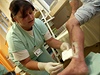 V brnnské Nemocnici Milosrdných bratí zaali v záí k odstraování odumelé tkán z ran pouívat larvy