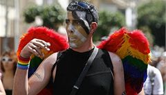 Pochod homosexul Vilnem  dmovnice a molotovovy koktejly