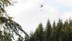 V západních Krkono�ích bojují hasi�i s po�árem. Nedaleko od Harrachova v oblasti Rý�ovi�t� se plameny roz�i�ovaly, do akce byl povolán vrtulník.