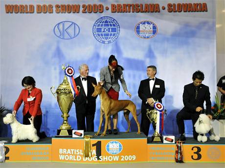 World dog show 2009, Bratislava. Uprostřed vítěz