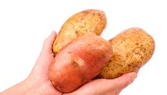 Velké brambory (ilustraní foto)