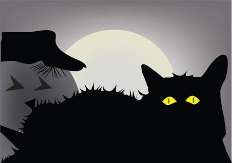 Černá kočka, halloween