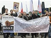 Pochod obanské iniciativy D.O.S.T. proti Lisabonské smlouv a na obranu prezidenta Klause