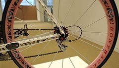 Lance Armstrong a jeho kola. est svtoznámých umlc si vzalo do parády Armstrongova závodní kola. Na snímku výtvor Damiena Hirsta.