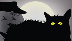 Halloween se blíží. Černé kočky čekají perné chvíle, ochránci je brání