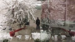 Sn�hová kalamita v Pekingu