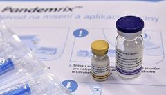 Vakcína proti prasečí chřipce | na serveru Lidovky.cz | aktuální zprávy