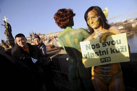 Na protest proti pouívání koein a ke v módním prmyslu se na Karlov most v Praze svlékly do kalhotek aktivistky z organizace Lidé pro etické zacházení se zvíaty (PETA). 