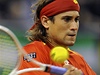 David Ferrer nastoupil ve druhém utkáni proti Radku tpánkovi 