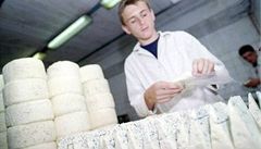 Výrobna sýru Niva | na serveru Lidovky.cz | aktuální zprávy