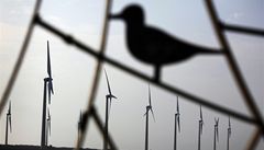 Zahraniční větrníky ohrožují elektrickou soustavu Česka