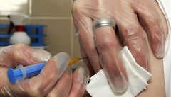 Očkování proti prasečí chřipce | na serveru Lidovky.cz | aktuální zprávy