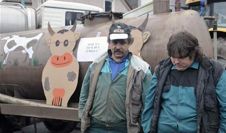 Zemdlci protestovali kvli nízkým výkupním cenám mléka 10. prosince ped mlékárnou v Olenici na Blanensku