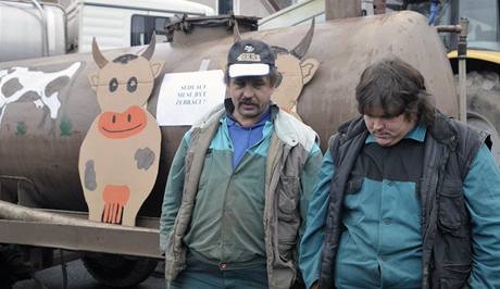 Zemdlci protestovali kvli nízkým výkupním cenám mléka 10. prosince ped mlékárnou v Olenici na Blanensku