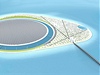 Animace um�lého ostrava - Bahrain