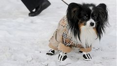 Rusko zasáhly velké mrazy, teploty klesají pod 20 stup��.