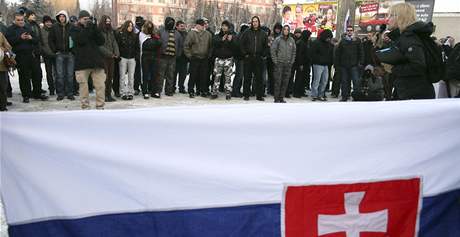 Slovenská vlajka (ilustraní foto).