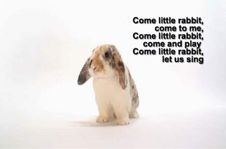 Píse "Come little rabbit"