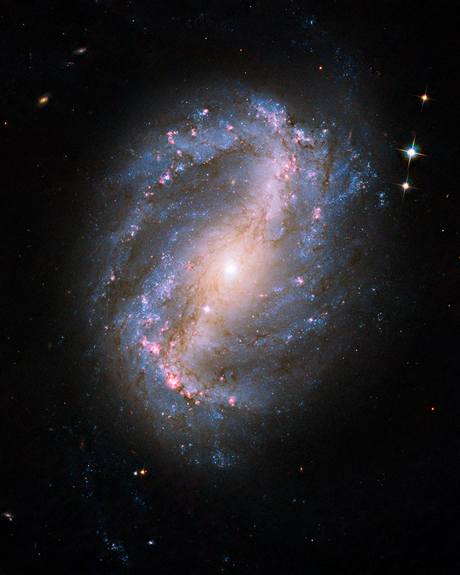 Spirální galaxie NGC 6217 zachycena nově opraveným Hubbleovým dalekohledem