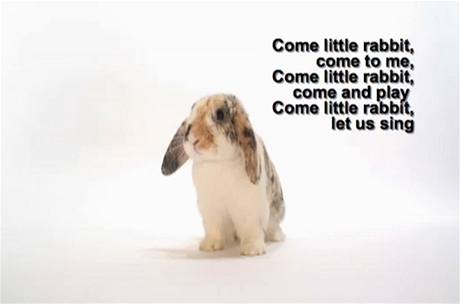 Píse "Come little rabbit"