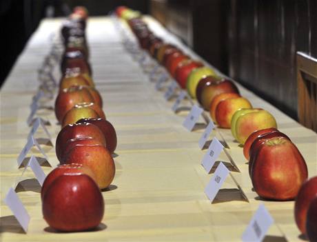 Ovocnái, zahrádkái, výzkumníci i laici z celé republiky degustovalo celkem 45 odrd jablek. Nejchutnjí je podle nich Meteor.