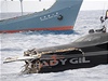 Sráka Ady Gil s japonskou verlybáskou lodí