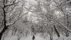 Jižní Koreu zastihla rekordní sněhová nadílka. | na serveru Lidovky.cz | aktuální zprávy