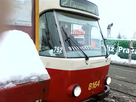 idi praské tramvaje je zejm sympatizantem krajn pravicové Dlnické strany. Její podporu dává jasn najevo.