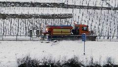 zasnené vinice v Nmecku