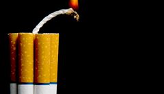 Výrobci budou muset předložit složení cigaret, úřady ho mohou změnit