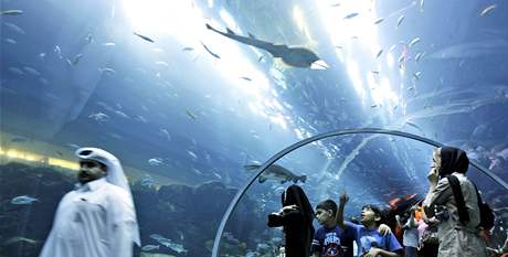 Obí akvárium v nejvtím obchodním stedisku v Dubaji