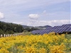 Slunení elektrárna o výkonu 507 kWp v Útku je nejvtí slunení elektrárnou na sever od Prahy. Byla postavena v roce 2007 z dotací Evropské unie