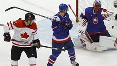 Gól ve slovenské síti. 