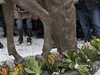 6.3.2010 - Masaryk si není nijak zvlá podobný, vypadá trochu pitrouble. A jeho koník se pase. Na tulipánech.