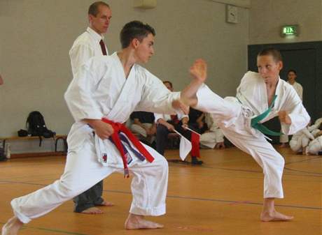 Karate (ilustraní foto)
