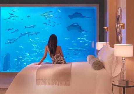 Akvárium dubajského hotelu Atlantis je bez žraloka velrybího. Vedení podlehlo ekologům a vypustilo ho do moře.