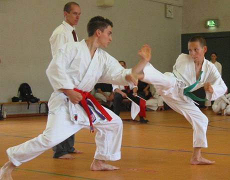 Karate (ilustrační foto)