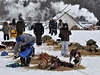 Iditarod, závod psích speení napí Aljakou: závodníci opoutjí stanovit Nikolai.