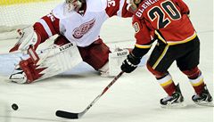 Jimmy Howard chytá trestné st�ílení.