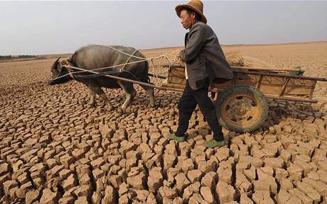 Vlna sucha je v nkterých provinciích nejhorí za posledních sto let. 