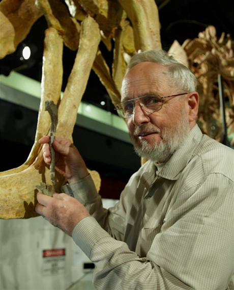 Kurátor Tom Rich z Muzea státu Viktorie ukazuje stydkou kost australského tyranosaura ve srovnání se stejnou kostí T. Rexe