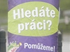 steda 31.3.2010 - Kousek vedle ekávají nájemní dlníci, u roky. Výstavit.