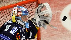 Liberecký branká� Marek Pinc. 