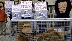 V den, kdy snmovna o týraných zvíatech rozhodovala, ped ministerstvem prmyslu protestovali  píznivci organizace  Svoboda zvíat.