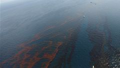 Největší eko-katastrofa v dějinách USA: ropná skvrna je už u pobřeží