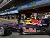 Mark Webber na svém Red Bullu.