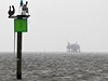 Jeden z ropných vrt v Mexickém zálivu. Z tební ploiny spolenosti BP stále uniká miliony litr ropy. 