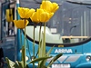 Dánská dopravní spolenost Arriva nabízí ve svých autobusech "sedadla lásky".